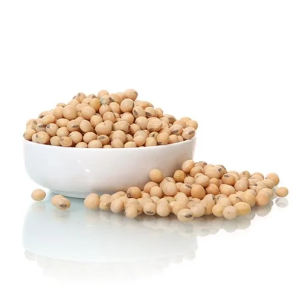 Soya Beans